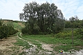 VBS_5433 - C'è un mare di velluto verde! E tu che sognavi di andare lontano... Quanta meraviglia, quì!